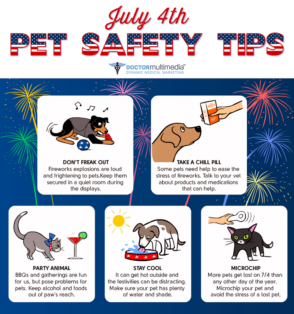 A guide for Pet safety tips