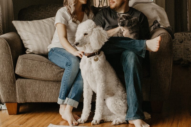 Couple sitting on a couch with their dog, showcasing a warm and cozy moment at home