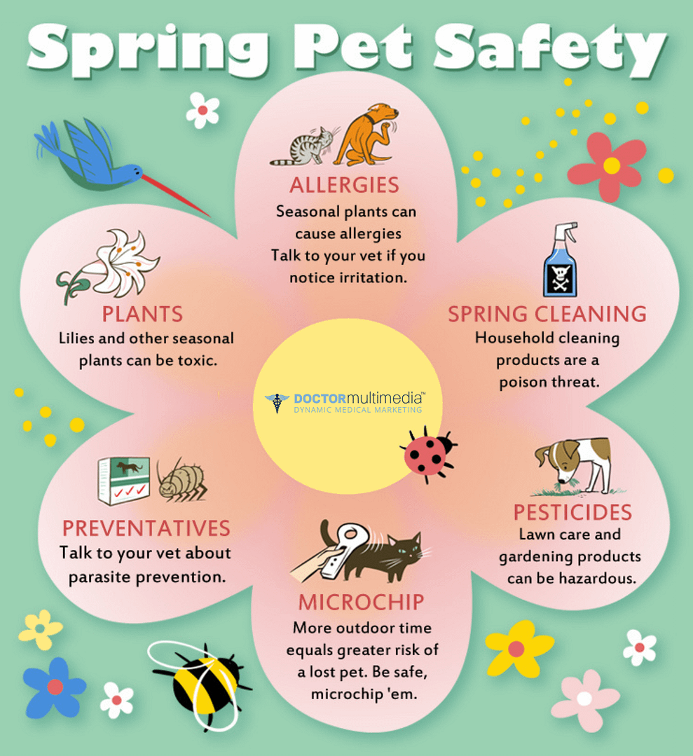 graphic representation of spring pet safety guide